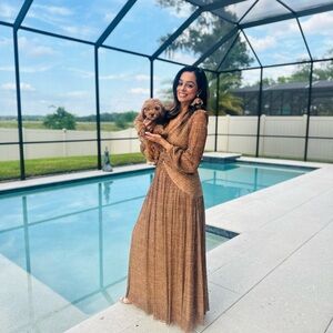 Gianni Bini Hazel Metallic Chiffon V-Neck Long Sleeve Cut Out Dress Sz 4